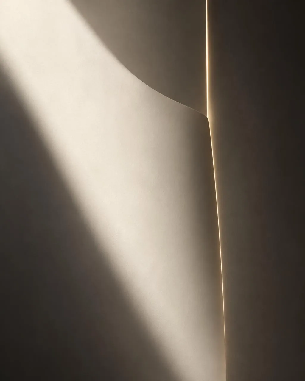 Soft light and shadow across smooth ivory surfaces, traced by a fine line of gold